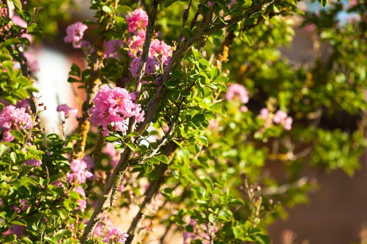 Agriturismo Cerqueto Acquapendente Exterior foto